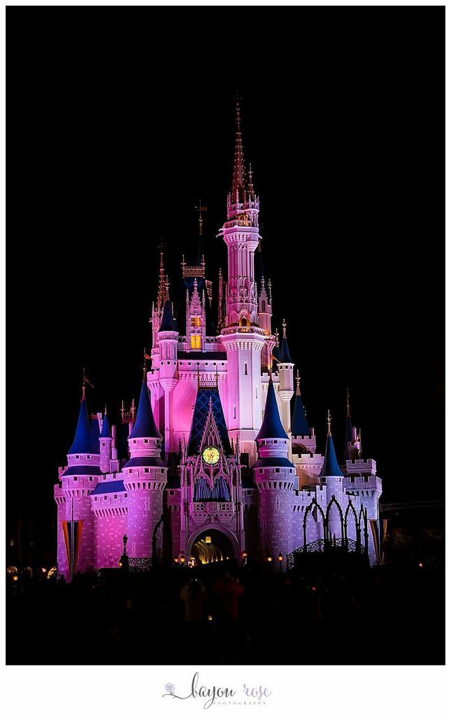 Magic Kingdom Castle at night