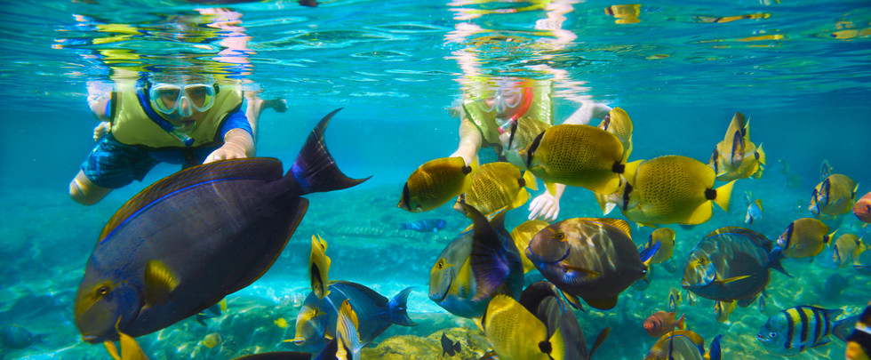 rainbow reef, activities at Aulani