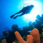Roatan Diving